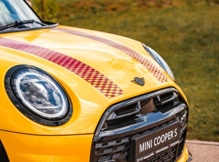 Мероприятия-Hai cu MINI 2025-126
